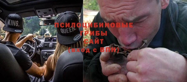 ешки Алексеевка