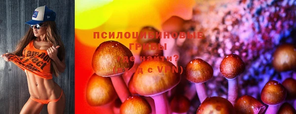 ешки Алексеевка