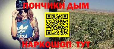 крисы Малгобек