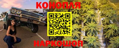 крисы Малгобек
