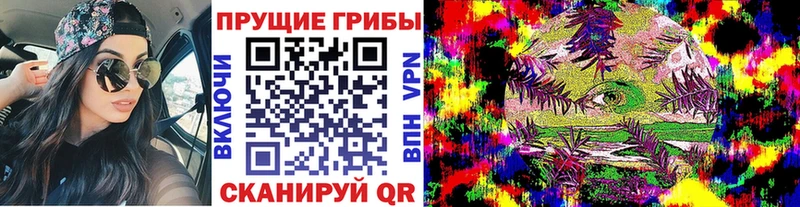 дарнет шоп  Углич  Псилоцибиновые грибы Magic Shrooms 