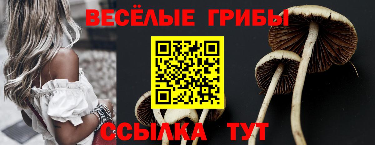 Галлюциногенные грибы мицелий  Вход с VPN  Углич 