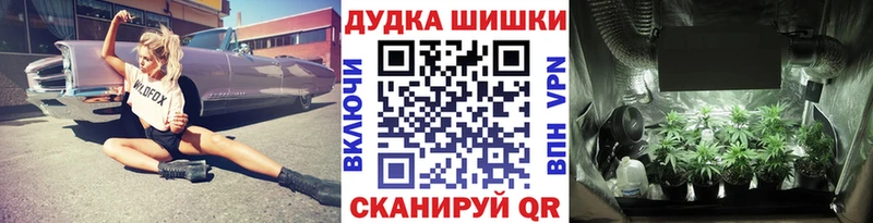 blacksprut сайт  Углич  Бошки марихуана сатива  что такое наркотик 